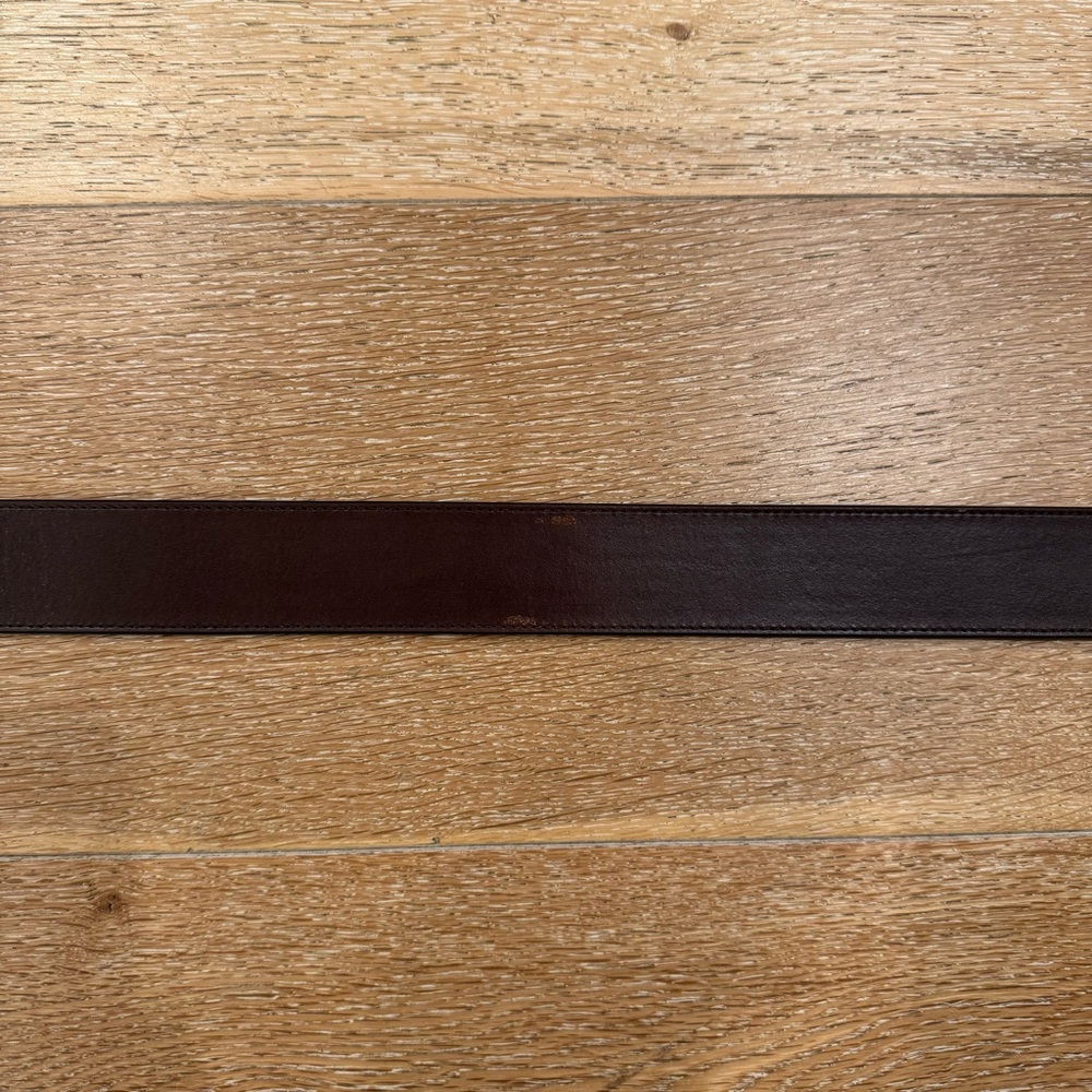 NWT LOFT Dark Chocolate Belt - Picture 3 of 6